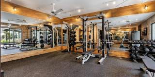 Vera Cedar Park Gallery 31