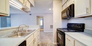 Chatham Wood Gallery 12