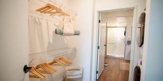 Wren on the Creek Gallery 14