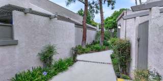 The Terrace Apartments Gallery 6