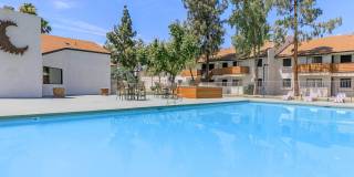 Tides on McDowell Gallery 23