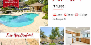 9818 Fan Palm Way - 1 Gallery 1