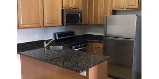 Mariners Landing Gallery 35