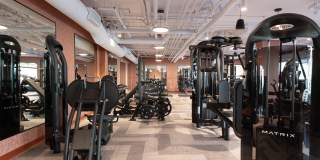 Belle on Bev Belle on Bev Gallery 62