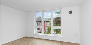 Chronicle Chronicle Gallery 8