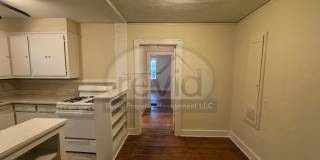 TIGER 585 Gallery 4