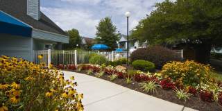 Royal Pointe Gallery 12