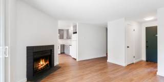 Puyallup 8 Gallery 1