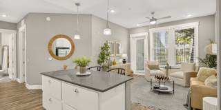 Novus Westshore Novus Westshore Gallery 17