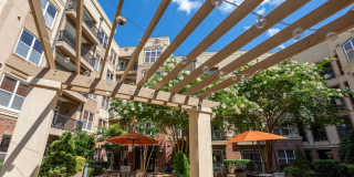The Arboretum Apartments Gallery 46