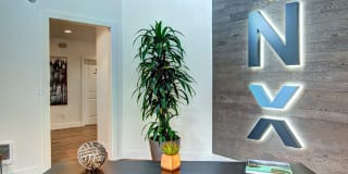 The Lynx Gallery 20