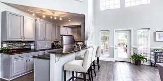 Polo Park Gallery 32