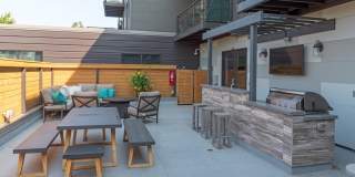 The Finn Gallery 50