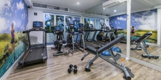 Alister Sherman Oaks Gallery 6