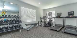 Rise Camelback Gallery 45