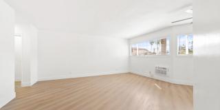 PW 4143 Gallery 4