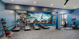 Vintage Stonetrace Gallery 15