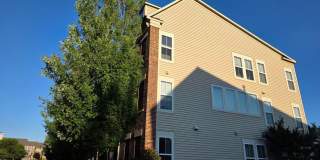 42259 RIGGINS RIDGE Gallery 19