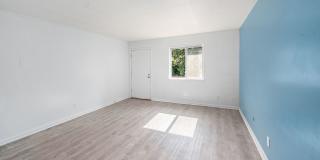 The Chestnut Gallery 4