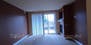 2445 Windrow Drive, A208 Gallery 5