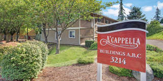 A'Cappella Gallery 29