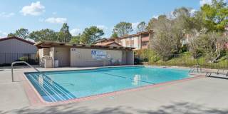 Upstairs Bright 2 bedroom Condo Gallery 14