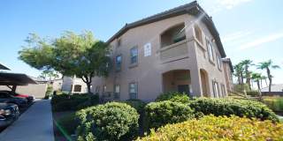 SHOWINGS AVAILABLE NOW Gallery 1