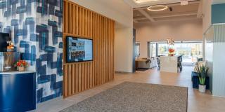 The Warren Gallery 21