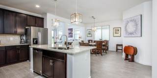 41885 W Celebration Lane Gallery 21