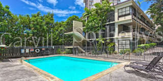 Makiki Gem- Fully Furnished 1BR/1BA/1Parking Gallery 19
