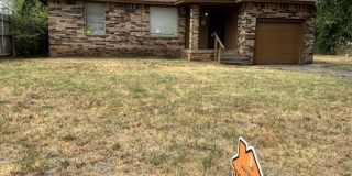 4 bed 1 bath Gallery 1