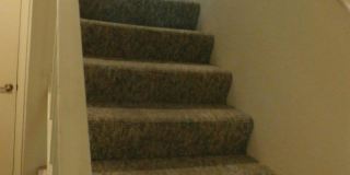 1566 Palace Way unit: 38 Gallery 5