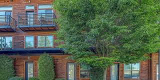 Broadway Apartments Gallery 11