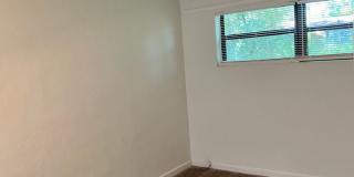Cozy 1/1 duplex unit on a large lot - Available in June. Gallery 1