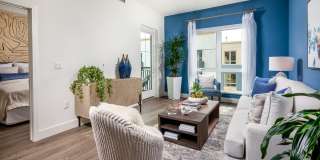 Azara Gallery 47