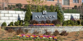 Avalon Quincy Gallery 45