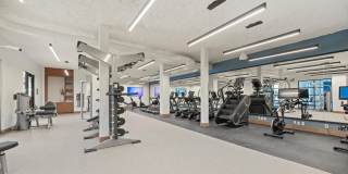 Modera Newton Gallery 6