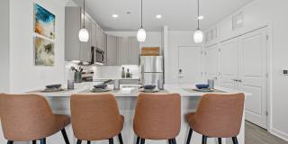 The Galaxy at Polaris Gallery 15