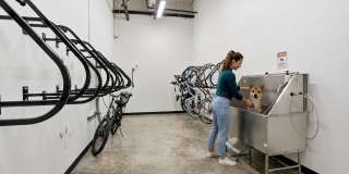 The Fitz Gallery 22