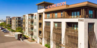 The Cameron Gallery 21