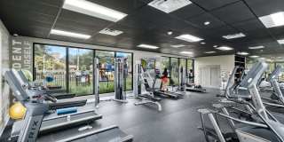 Oak Enclave Gallery 19