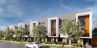 New Sky Highland Gallery 23