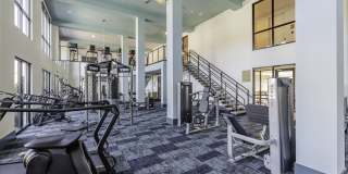 Forena Luxury Living Gallery 2