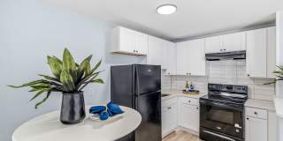 Newly Remodeled 1 Bedroom Apartment Gallery 5