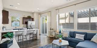 Olive Queen Creek Gallery 5