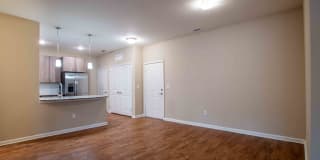 Century Dunes Gallery 30