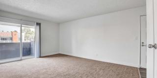 Sundance Village Gallery 41