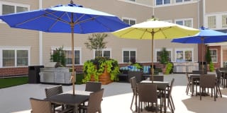 The Hawthorne Gallery 25