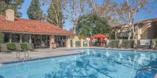 McComber Creek Gallery 14