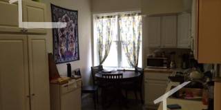 Nice 4 bed steps from BU Gallery 5